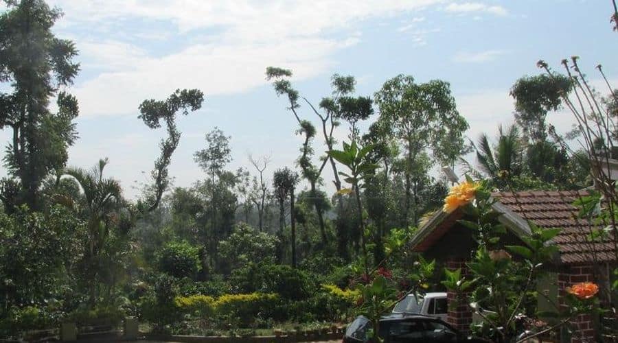 Green Park Village Homestay, Chikmaglur 5